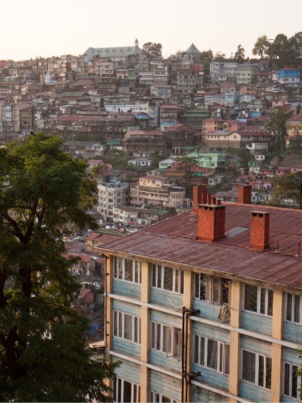 Shimla